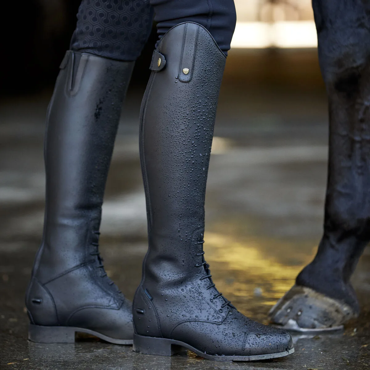 Damen Reitstiefel HERITAGE CONTOUR II H²O, black 41 FM - Ariat - FashionsVida