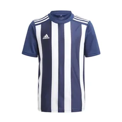 Kindertrikot Striped 21 - Bleu - male - Size: 11/12 ans