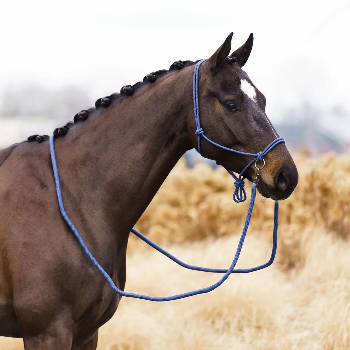 Knotenhalfter IRH FREE RIDE sapphire Full - Imperial Riding - FashionsVida