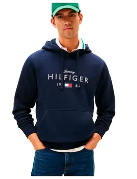Sweat à Capuche Logo Graphic Desert Sky XL
