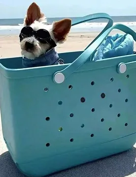 Bolso de playa grande, impermeable y duradero, de uso diario, de material EVA para mujer, con orificios de ventilación, ligero - Shein - FashionsVida