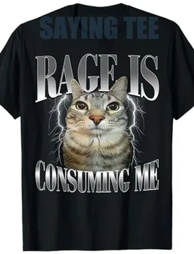 Rage Is Consuming Me Silly Staring Cat Meme Humor Kitty Funny T-Shirt Cute Kitten Sarcastic Saying Tee Y2k Short Sleeve Blouses - Aliexpress - FashionsVida