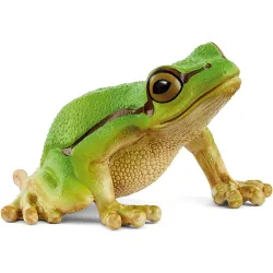Figura Rana arborícola europea