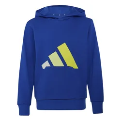 Felpa Con Cappuccio Essentials Team Royal Blue / Orbit Grey / Frozen Lemon / Solar Lemon 11-12 Anni