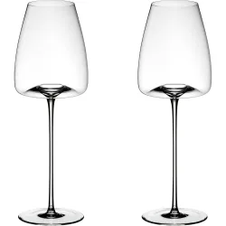 Juego de 2 copas para vinos aromáticos Vision