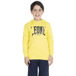 Kapuzensweaters Boy Hoody Basic Eu Xxl;Eu S;Eu M;Eu L;Eu Xl;Eu Xs;Eu Xxs Male
