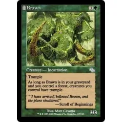 Brawn (foil) Judgment