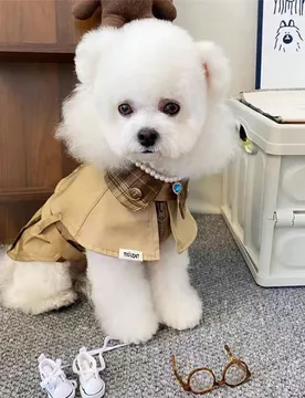 Abrigo/cortavientos de estilo vintage británico para perros pequeños/medianos, adecuado para caniche, westie, gatos, otoño/invierno - Shein - FashionsVida