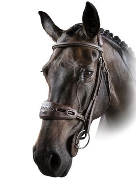 Gel Nose and Poll Guard, black