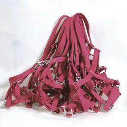 Manski Halfter Nylon 10er Pack, bordeaux Vollblut