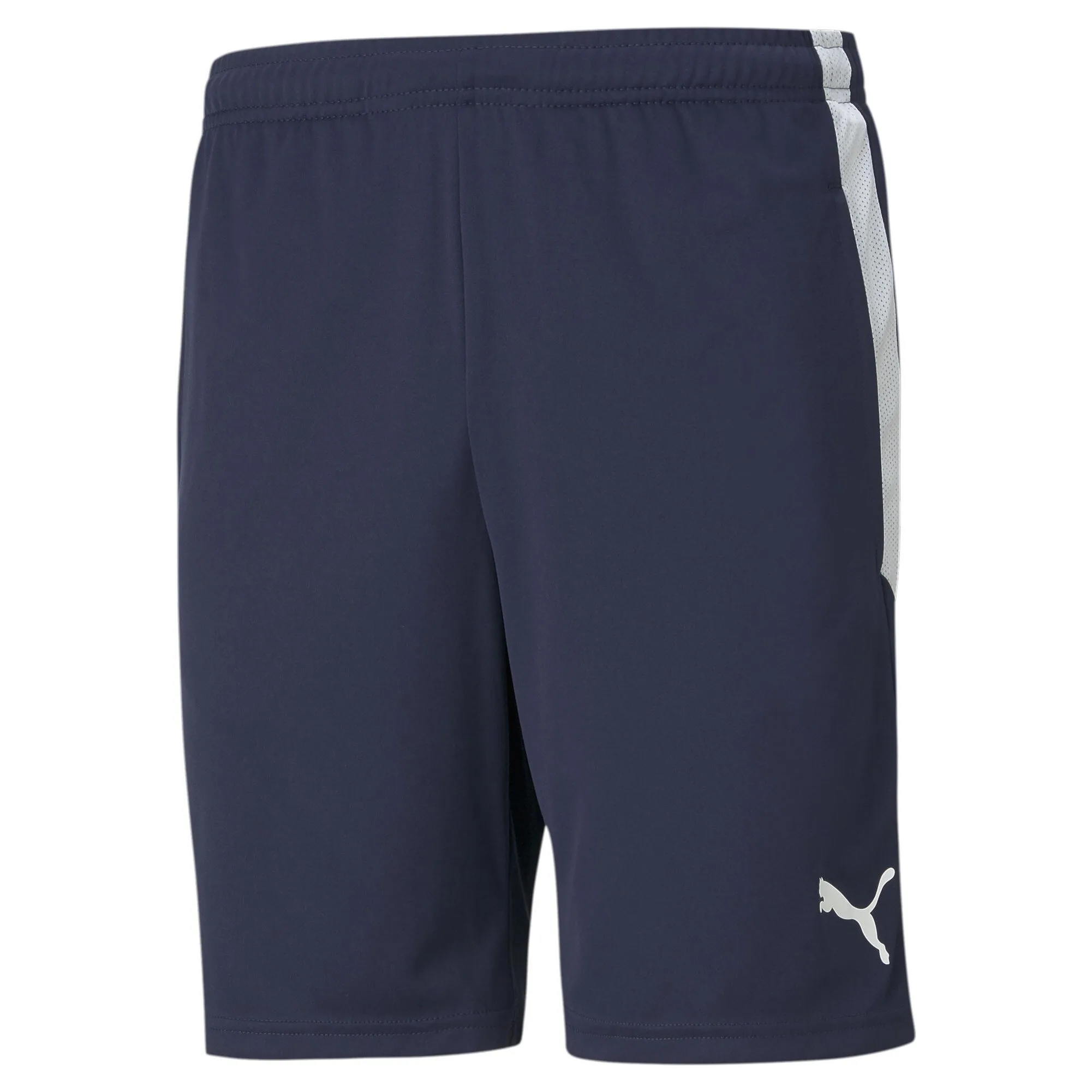 Puma Mens Shorts - Blue - Size 3xl - Puma - FashionsVida
