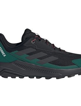 Terrex anylander zapatilla trekking hombre Negro (42)