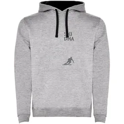 Sweat à Capuche Ski Dna Two-colour Heather Grey / Black L