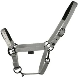 Halfter Dual Plus DELIGHT, black finish, grey P