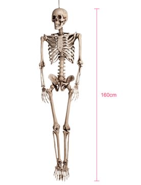 Realistisches Skelett Halloween-Hängedeko beige 160cm
