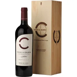Estuche vino tinto tempranillo 2022 Ribera del Duero Mágnum