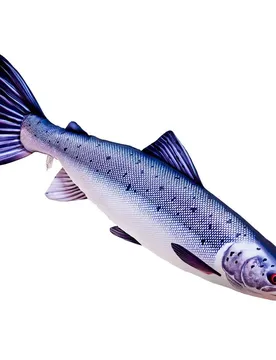Cuscino Medio Salmone Atlantico