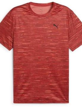 T-Shirts & Poloshirts Essentials Eu M;Eu L;Eu Xl Male