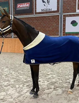 Manski Kombi-Set Eternal Flame, navy-gold 135 Full - Reitsport Manski - FashionsVida