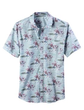 Camisa / claro / /