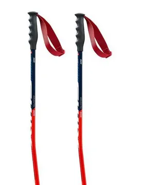 Bâtons World Cup Pro Super-g Black / Red 130 cm Homme