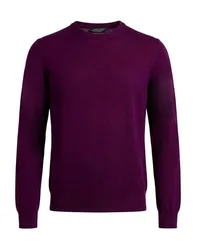 Pullover Herren Pflaume 46,48,50,52,54 Herren