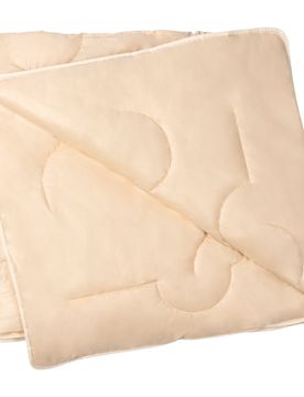 F.a.n. frankenstolz® Schafwolle Antimilbe Leichtsteppbett natur