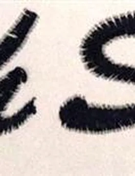 Stickservice Schabracke bis zu 10 Buchstaben Brush Script hellgrün - Reitsport Manski - FashionsVida