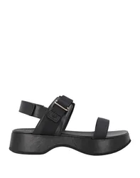 Sandalias Mujer Negro 35,36,37,38,40,41 Mujer