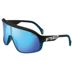 Lunettes De Soleil Polarisées Falcon