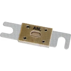 Anl Fuse Gold / Silver 80 A unisex