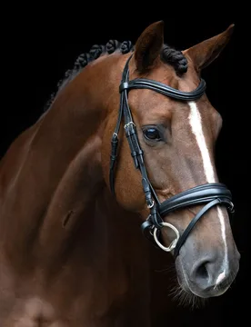 Trense englisch-kombiniertes Reithalfter IRH black - Imperial Riding - FashionsVida