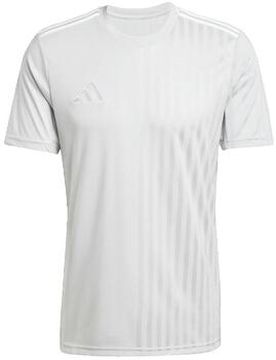 T-Shirt T-Shirt Campeon 25 Gris Eu S;Eu L Male