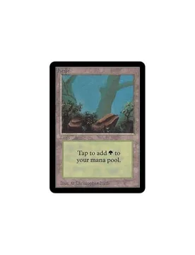 Forest (#2) Alpha - Magic: The Gathering - FashionsVida