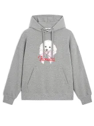 Sweat à capuche - Hoodie gris clair XS