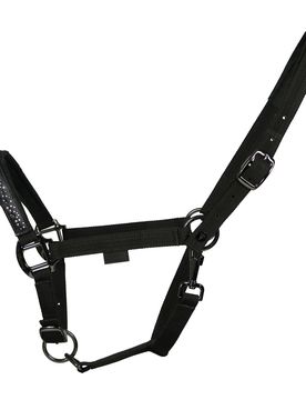Halfter Dual Plus DELIGHT, black finish, black VB