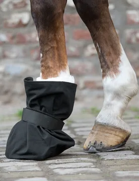 Hufverbandschutz, schwarz PON - Waldhausen - FashionsVida