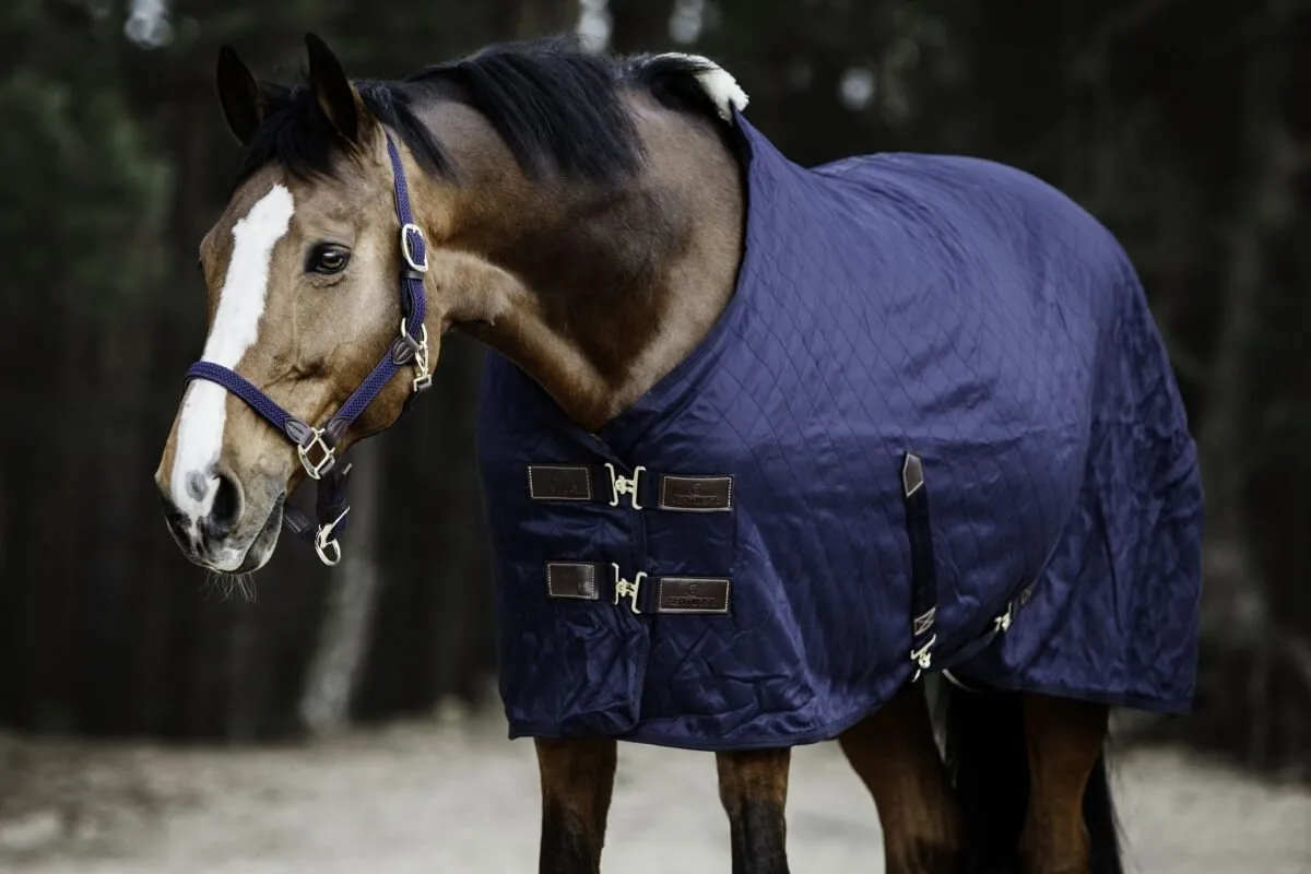 Stalldecke 0g marineblau 140 cm - Kentucky Horsewear - FashionsVida
