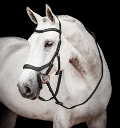 Micklem 2 Competition Bridle, black Large Cob