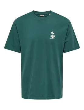 Pure Cotton Sounds of Summer T-Shirt Green Mix male - ONLY & SONS - FashionsVida