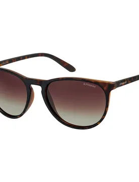 Occhiali Da Sole Polarizzati Pld6003nsv08l 5/19/10 Havana Brown/CAT3