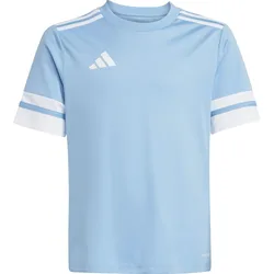 Squadra 25 Kinder Trikot, hellblau 116