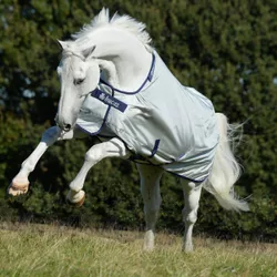 Weidedecke POWER TURNOUT Extra, silver 145