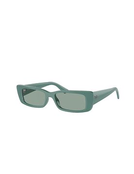 Gafas de sol 0RB4425/54 TERU gasolina