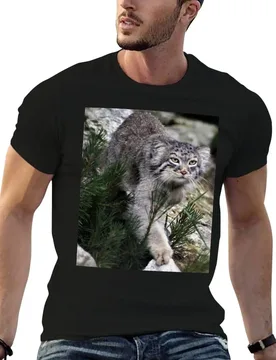 Pallas Cat Prowl T-Shirt t shirts cotton 100% t shirts for man graphic tees t shirts for man graphic vintage T-shirt - Aliexpress - FashionsVida