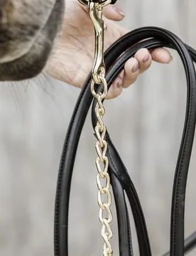 Führleine LEATHER CHAIN schwarz - Kentucky Horsewear - FashionsVida