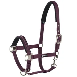 Halfter Pin Buckle, blackberry P2