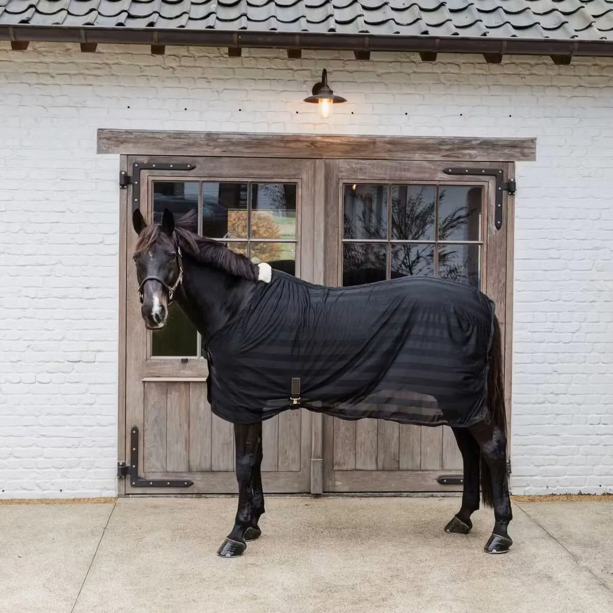 Fliegendecke MESH schwarz 155 - Kentucky Horsewear - FashionsVida