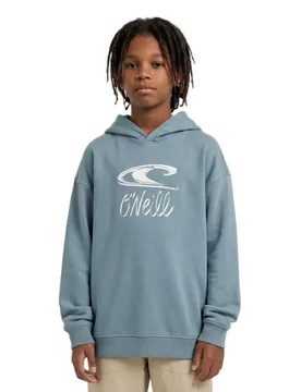 Sweat à Capuche Essentials Murky Water 9-10 Années Garçon - O´neill - FashionsVida
