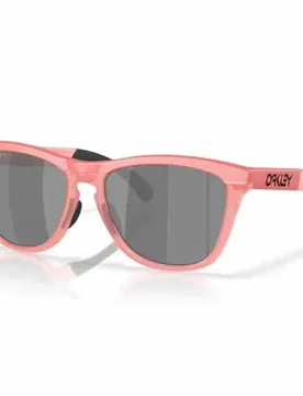 Lunettes De Soleil Polarisées Frogskins Range